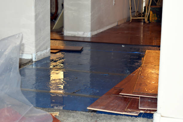 Professional Water Damage Restoration technician working in Roundhead, OH